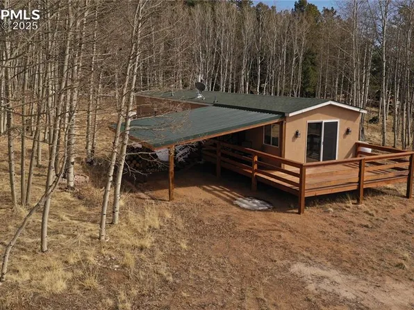 1793 Vagabond Creek Dr, Lake George, CO 80827