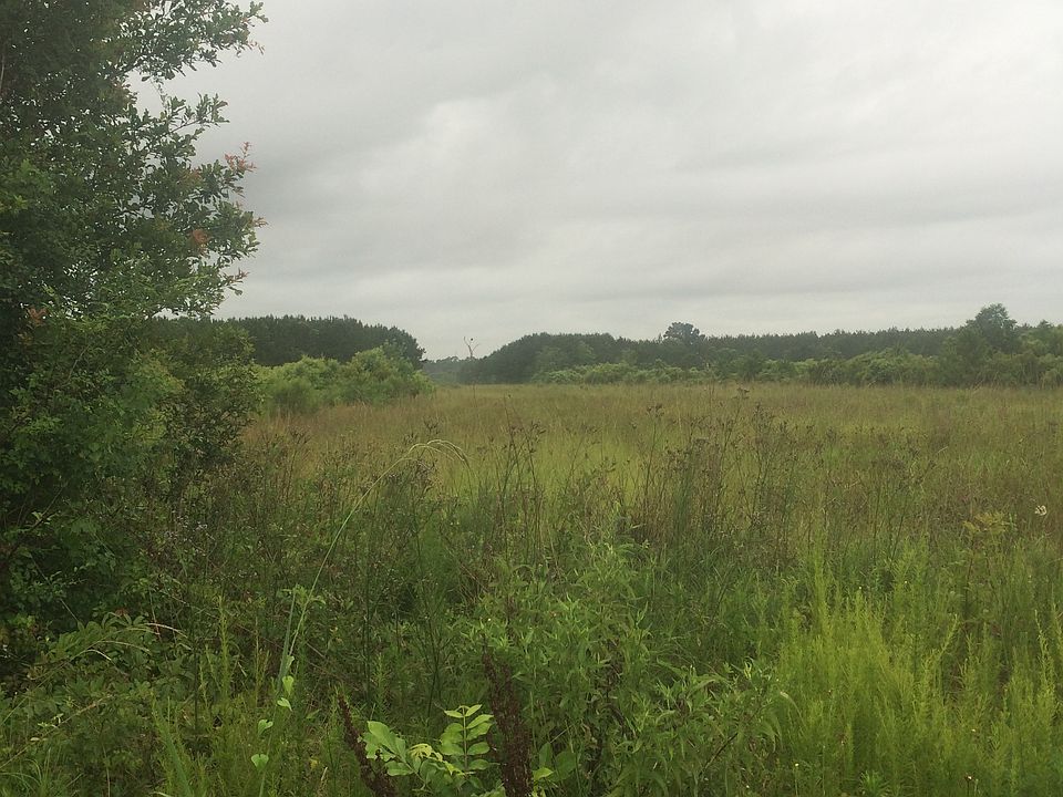 2nd image of Jessie Johnson Rd
