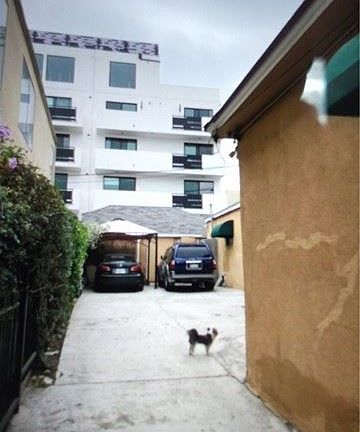 5th image of 229 N Alvarado St