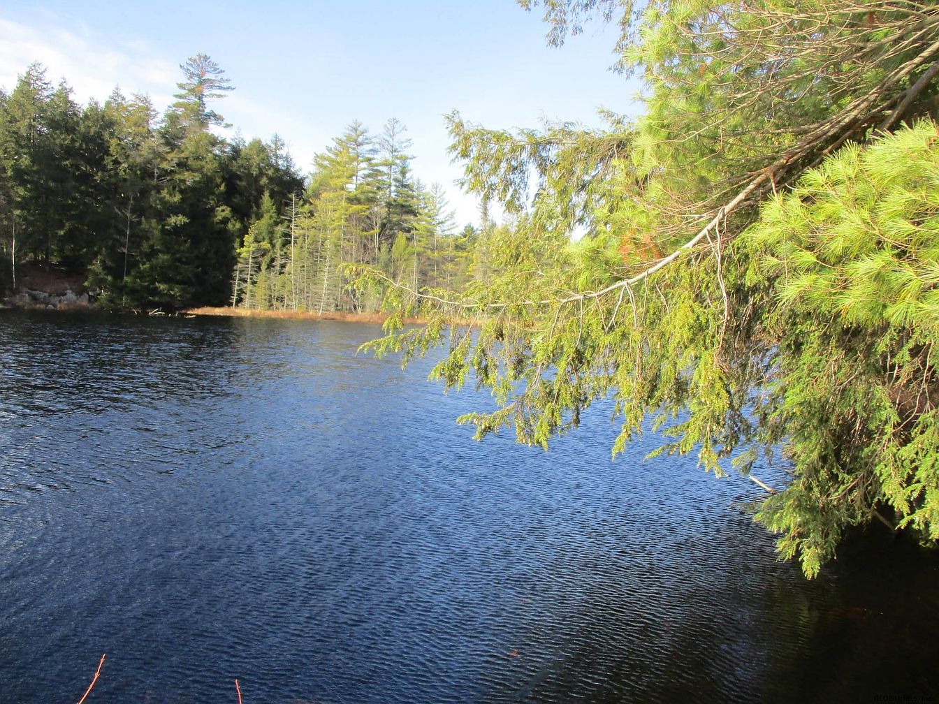 1st image of FOREST LAKE Road