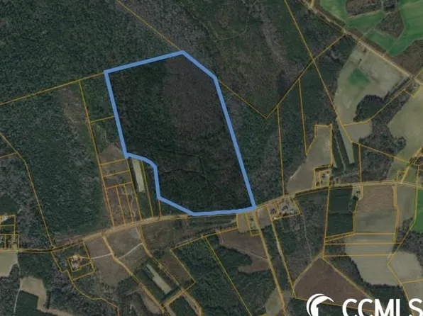TBD Highway 430, Nichols, SC 29581