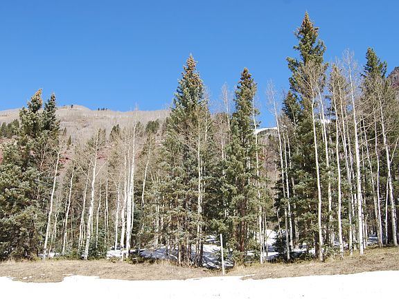 5th image of LOT 6 Pandora Ln
