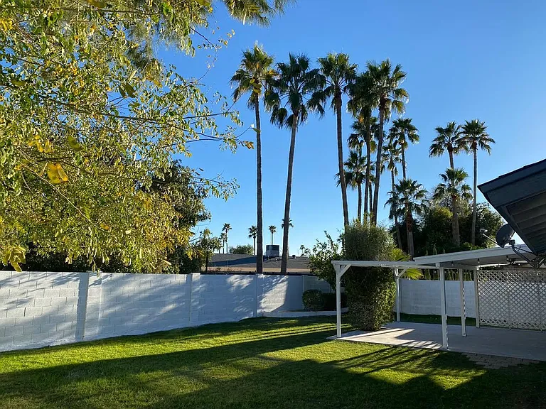 10699 E Mescal St — Photo 28