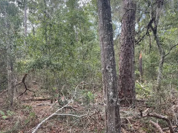 0 107th Pl, O'Brien, FL 32071