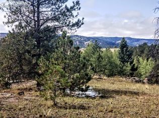 586 Crescent Dr, Florissant, CO 80816