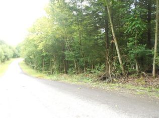 377 Jennings Rd, Richford, NY 13835