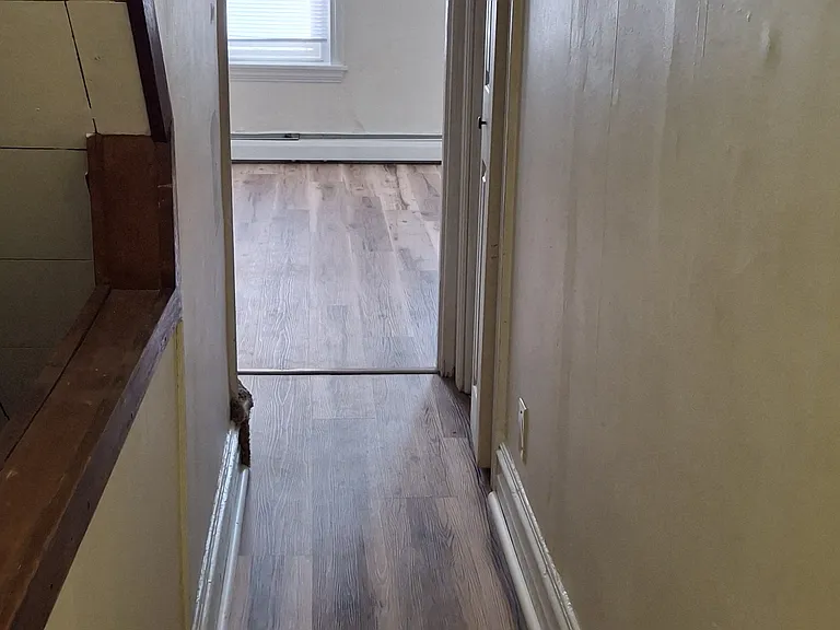 Hallway from the back to from of the house.