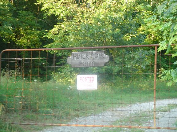 3rd image of 4560 Dieckmann Ln