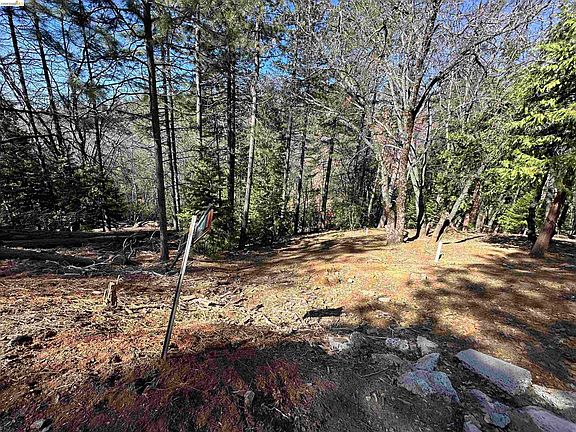 4th image of 23956 Stable Rd