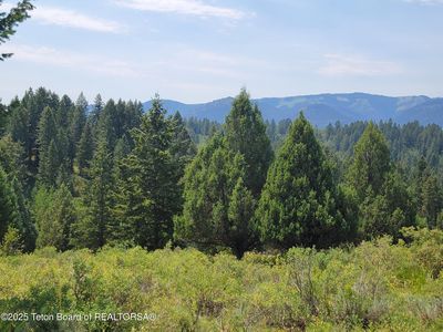 L61-B4 Cutthroat Run, Irwin, ID, 83428