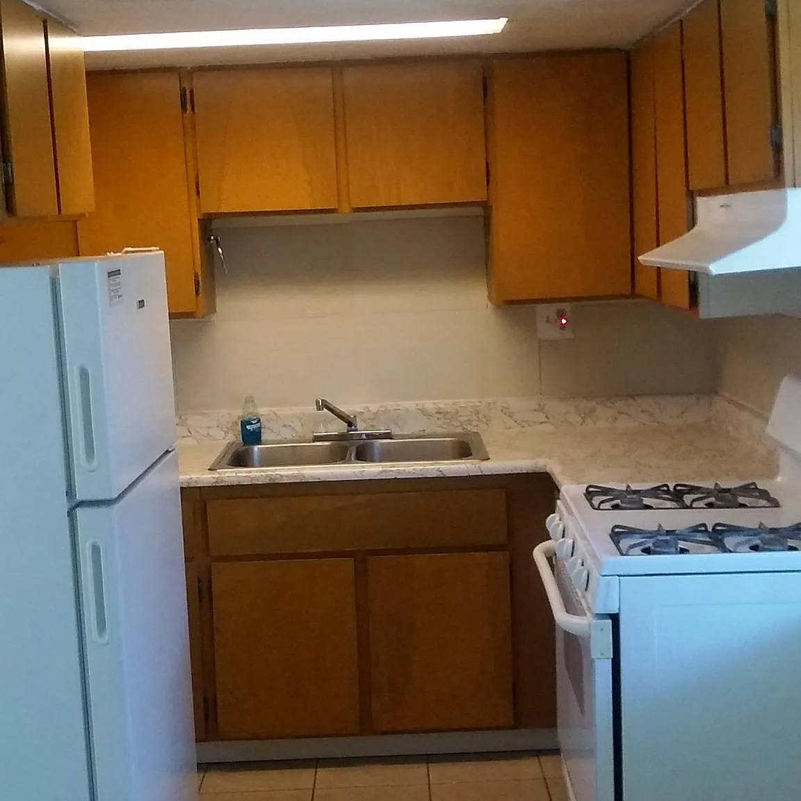 1 bed, 900 sqft, $900 — Photo 4