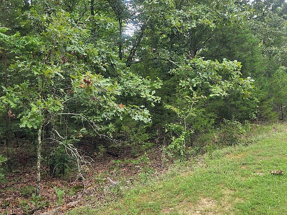5th image of Wolf Hound And Indian Hills Roads