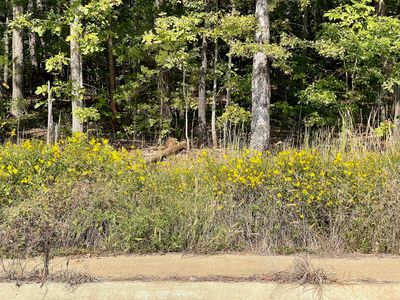 8 Big Pine Ct, Batesville, AR, 72501