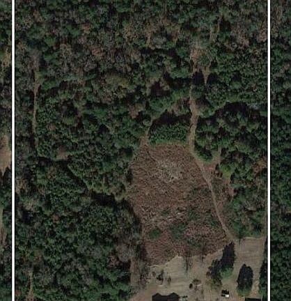 19+ Acres 75% wooded