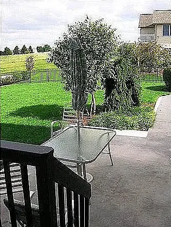 Patie view from the deck