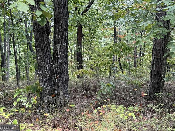 2nd image of 1417 Fox Hound Trl