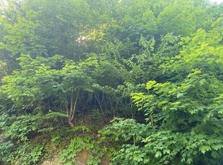 1305 Marg Fork Rd, Jewell Ridge, VA 24622