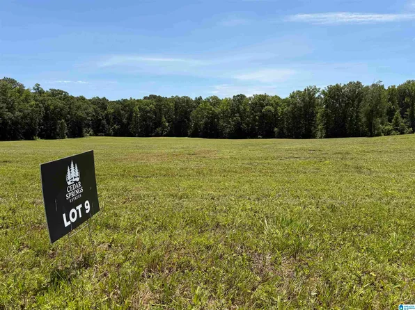 9 Cedar Springs Dr, Jacksonville, AL 36265