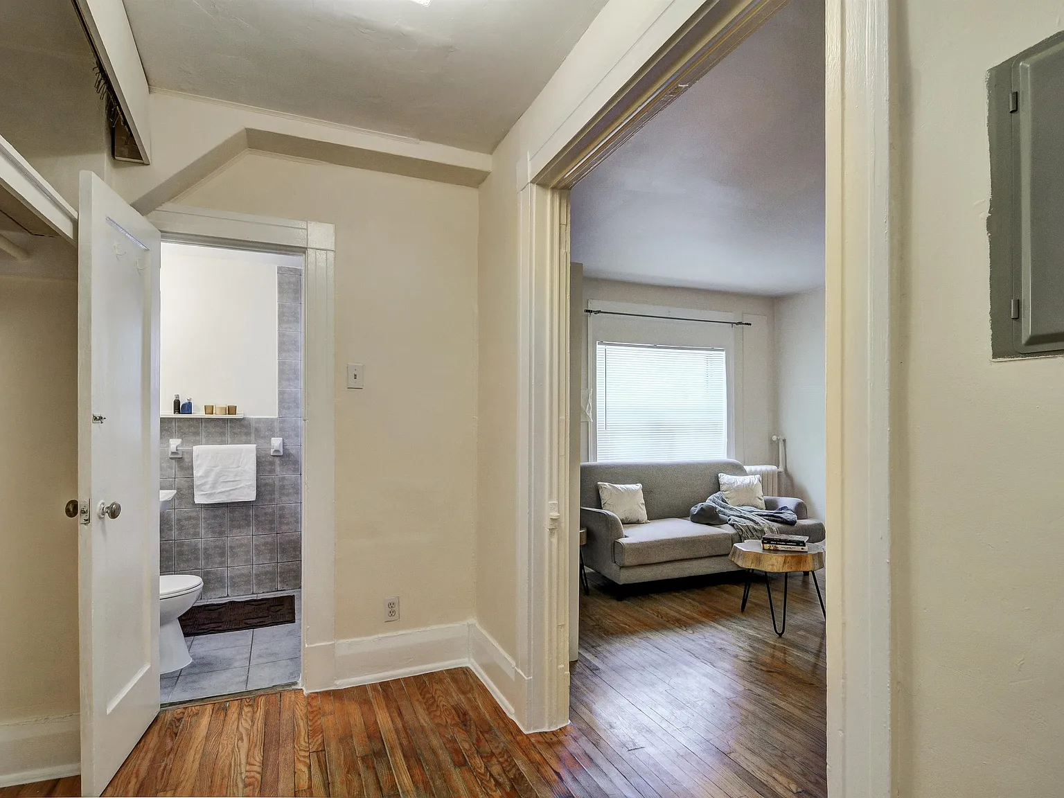 The Sheldrake — Photo 1