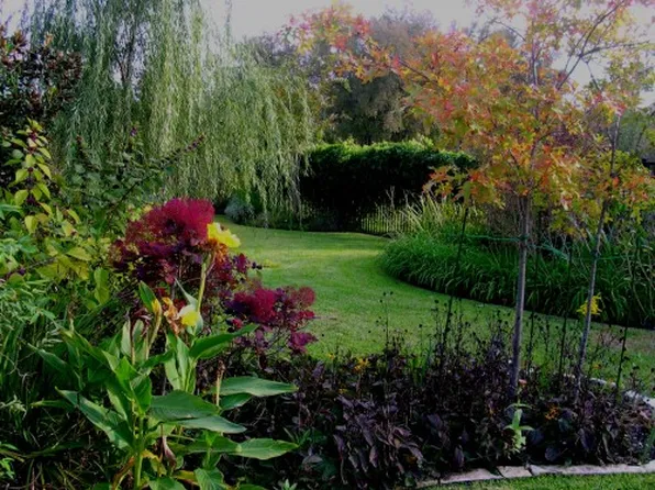 11404 Runnel Ridge Rd, Manor, TX 78653