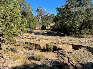 668 Rio Cucharas, Walsenburg, CO 81089