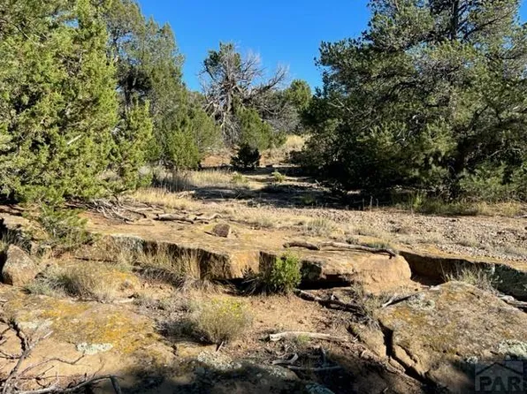 668 Rio Cucharas, Walsenburg, CO 81089