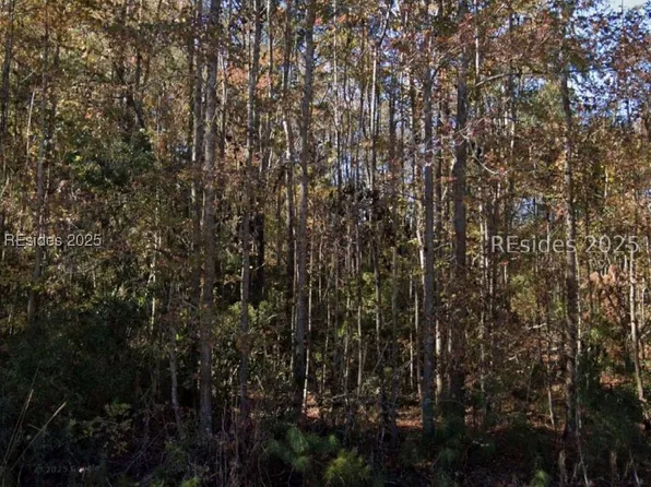 0 Cotton Hill Rd, Pineland, SC 29934