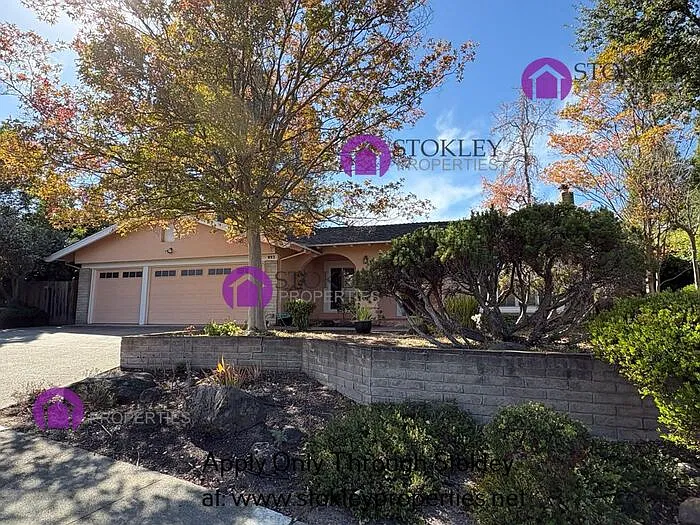 893 Appaloosa Dr
