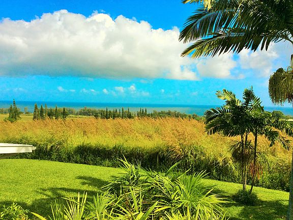 Welcome to whale season! 