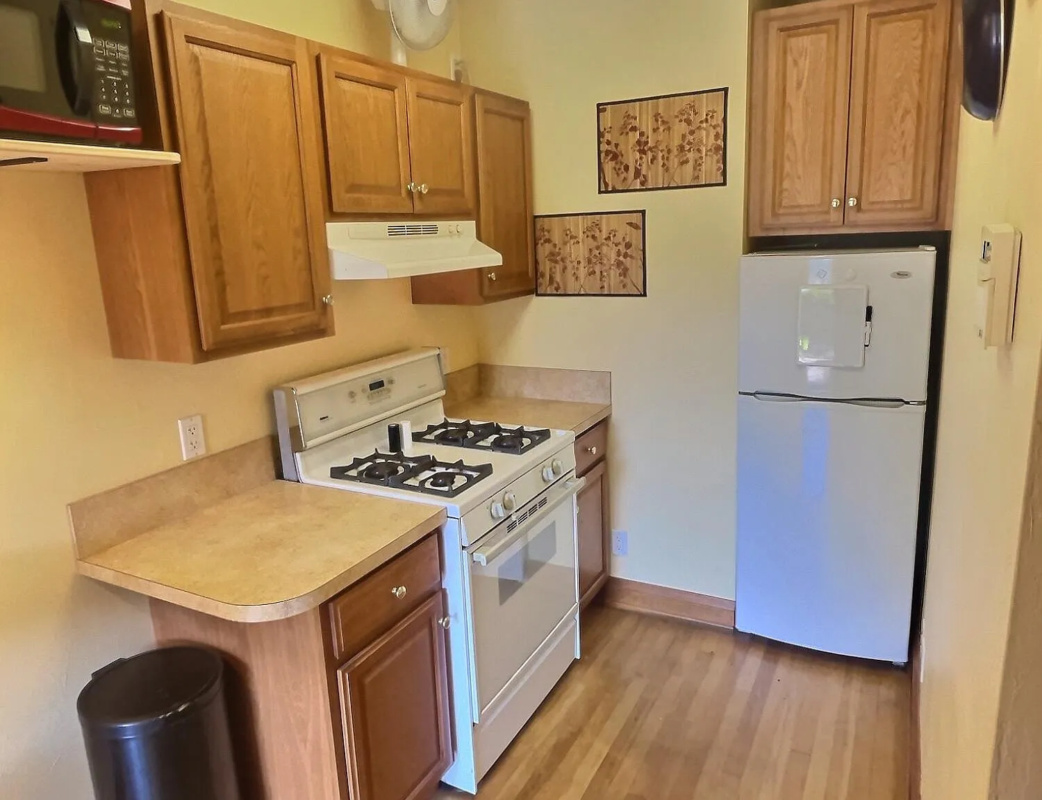 1 bed, 1.0 bath, 500 sqft, $1,350 — Photo 3