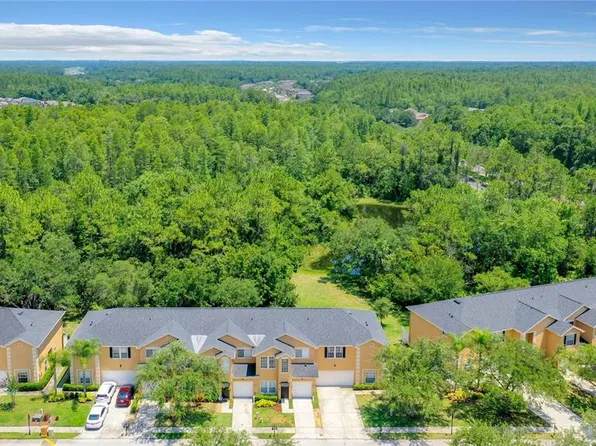 6219 Ashbury Palms Dr, Tampa, FL 33647