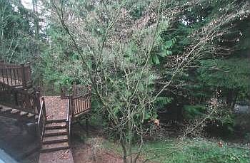 5th image of 18503 43rd Ave NE
