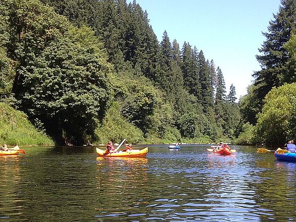 Kayak from the park to home!