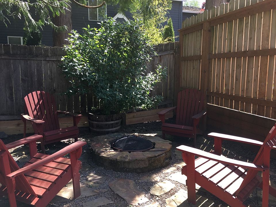 Backyard2
