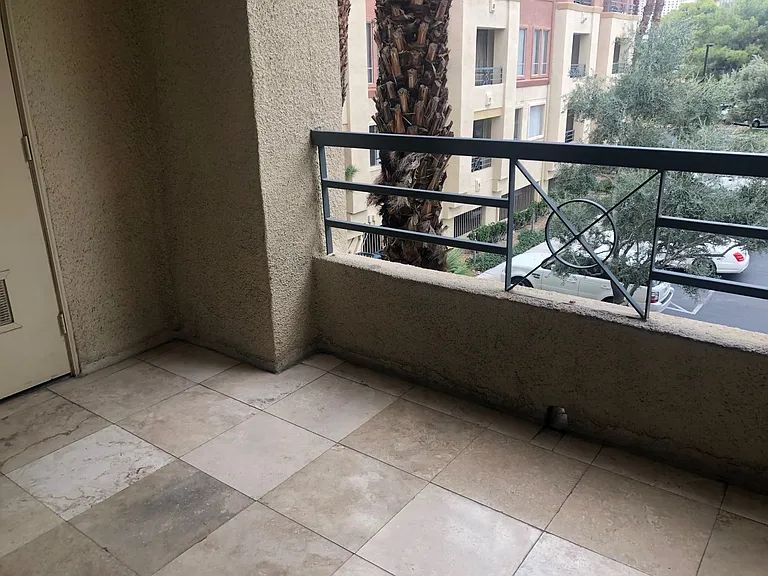 220 E Flamingo Rd #203 — Photo 12