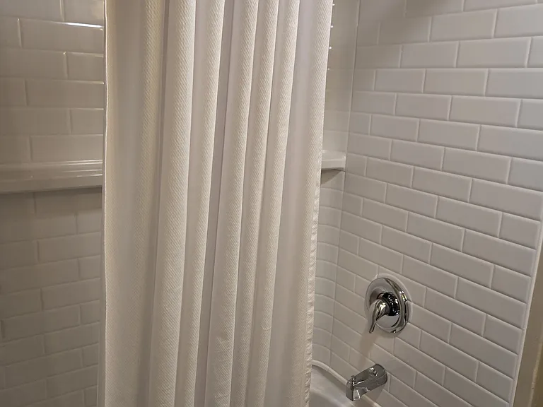 524 Spruce St #4 — Photo 7