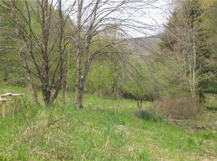 1361 Weaver Hollow Rd, Margaretville, NY 12455