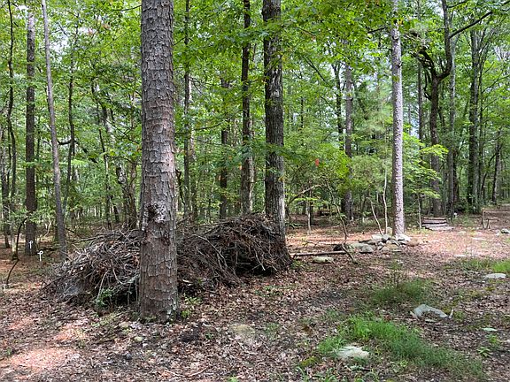 2nd image of 875 Mulberry Cir Lot 477