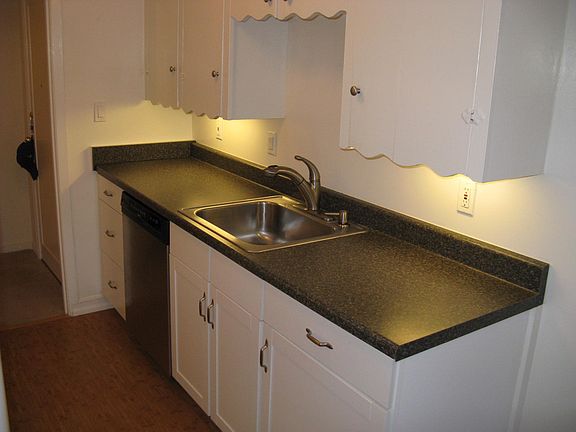 Stainless Kitchen Sink And Dishwasher