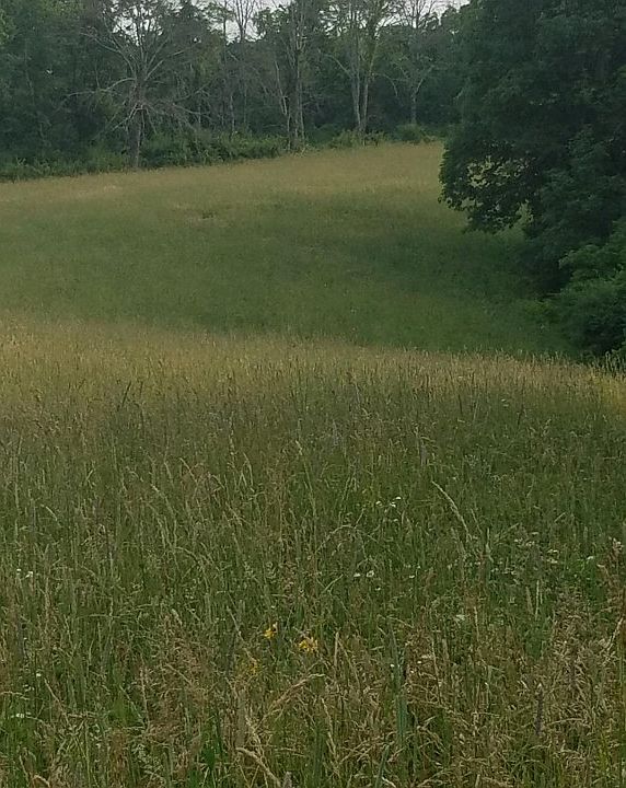 2nd image of 19366 Meades Ridge Rd