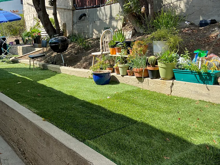 Backyard shared area_2