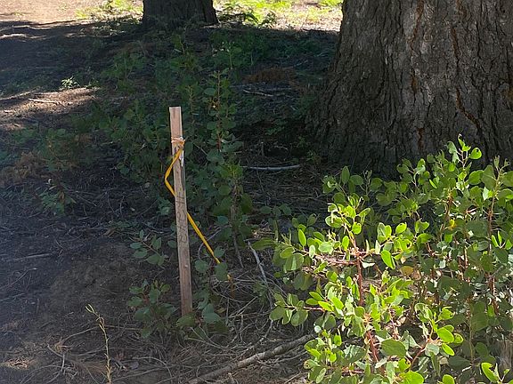 5th image of 33994 Leland Meadow Rd