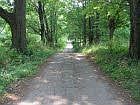 long driveway