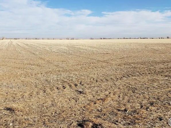 0 144th Ave, Wiggins, CO 80654