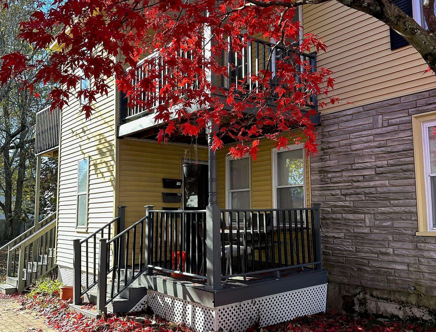 1 bed, 1.0 bath, 567 sqft, $1,300 — Photo 2