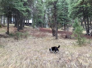 8 Jughandle Pl, McCall, ID 83638