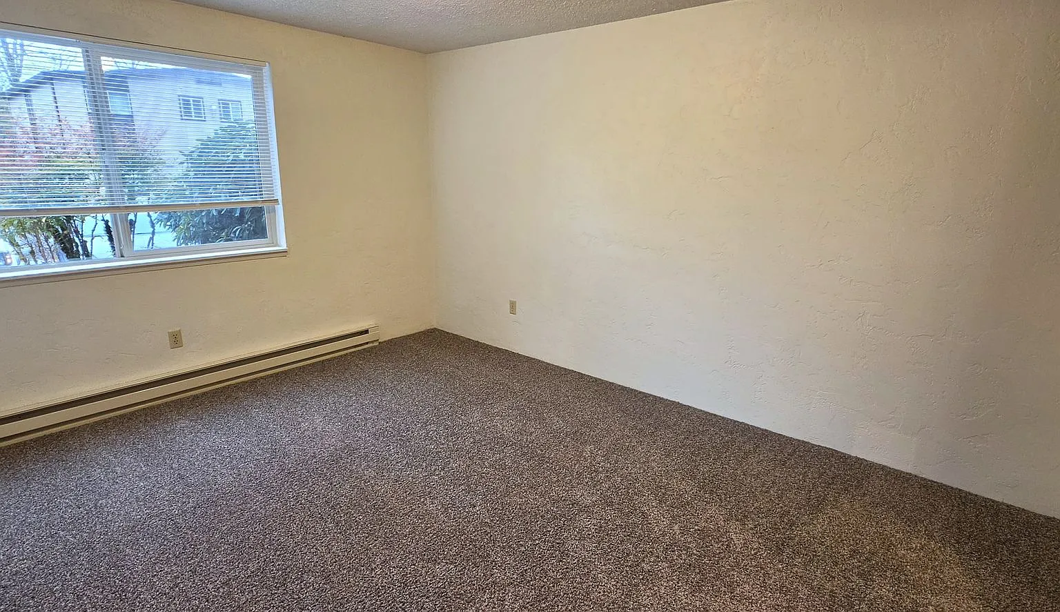 Willow Tree Apartments — Photo 3