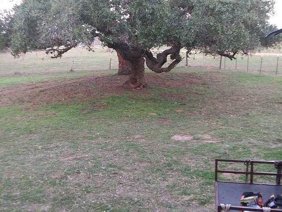 View from the front porch