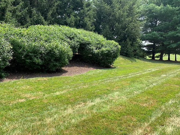 800 Amber Tree Ct #103 — Photo 24