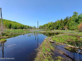 L60 Apple Creek Ln, Hadley, NY 12835